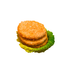 CHICKEN BURGER 100G 5*1KG